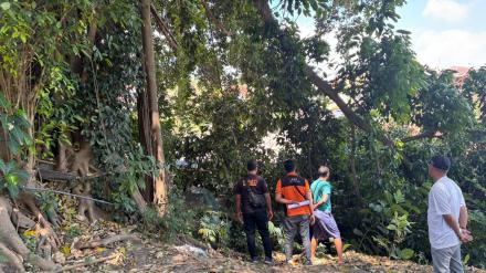 GOTONG ROYONG BERSAMA TANGANI DAMPAK ANGIN KENCANG DI PASAR BAWAH DESA SEMBIRAN